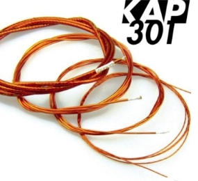 KAP301